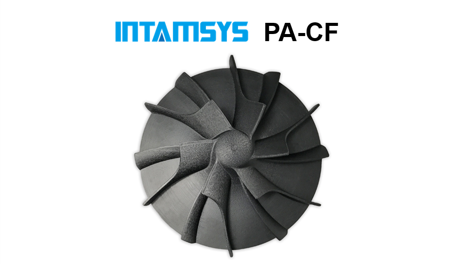 INTAMSYS-PA_CF-2