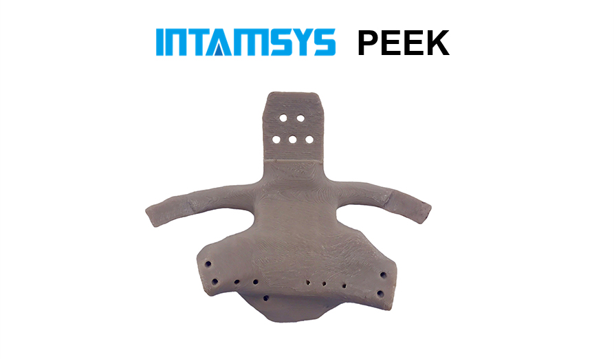 INTAMSYS-PEEK-6