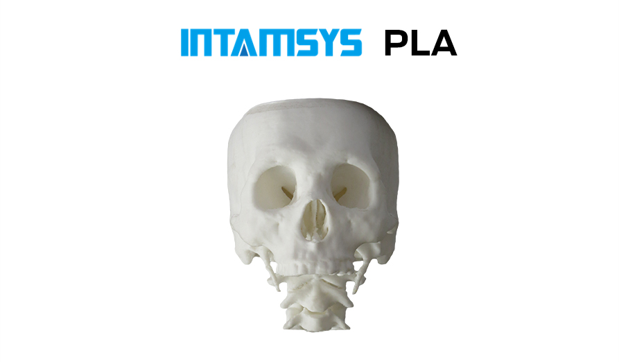 INTAMSYS-PLA-3
