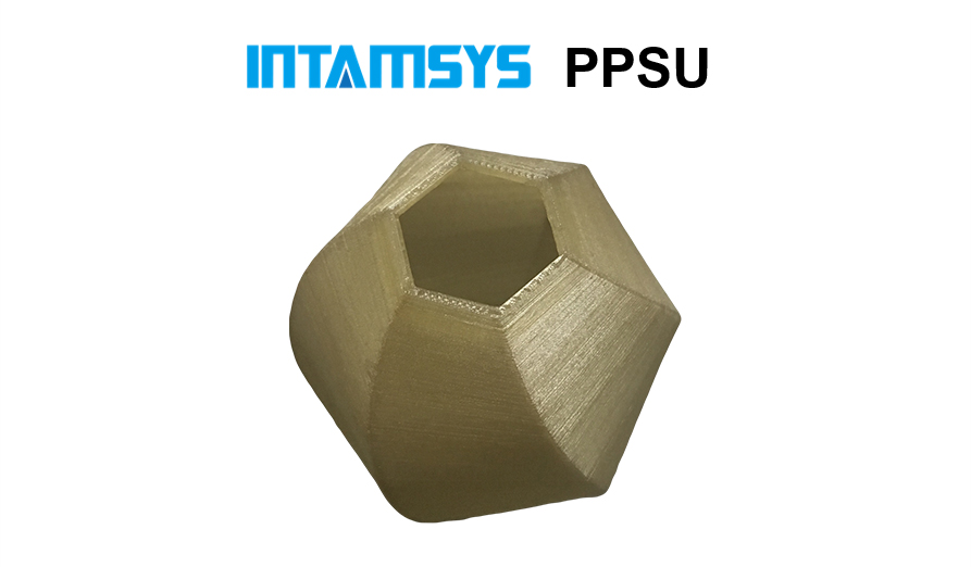INTAMSYS-PPSU-2