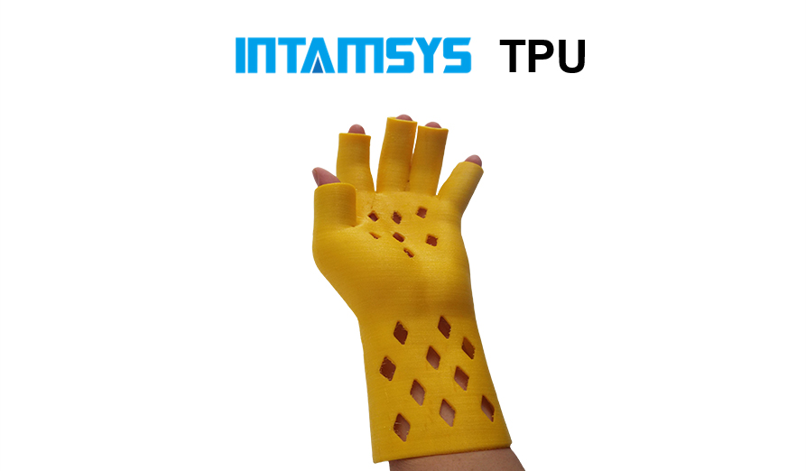 INTAMSYS-TPU-2