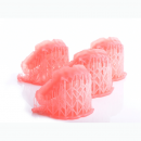 Detax Freeprint Denture resin Transparent Pink