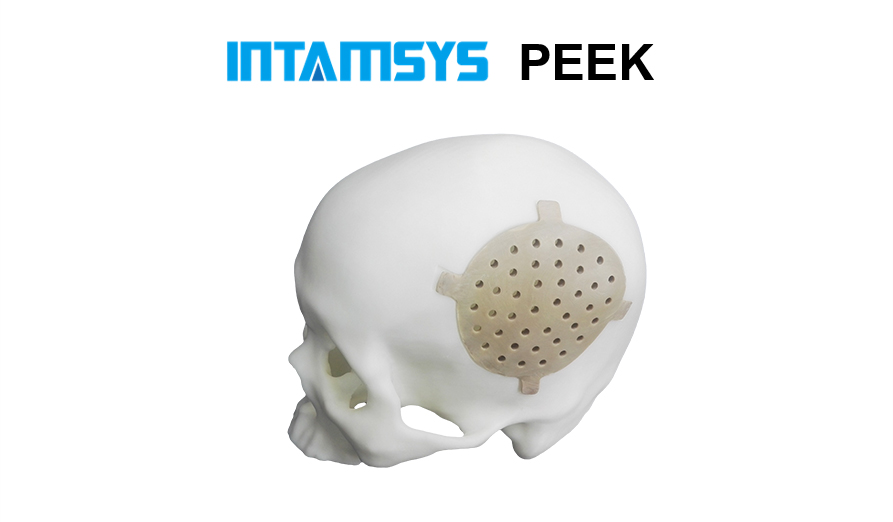 INTAMSYS-PEEK-5