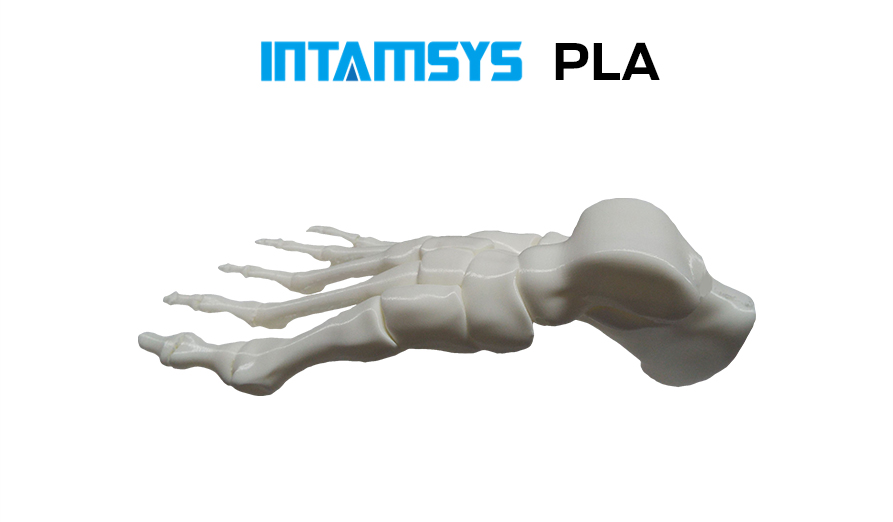 INTAMSYS-PLA-2