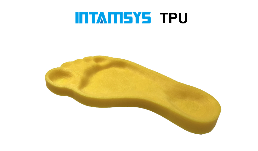 INTAMSYS-TPU-1