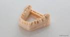 Résine BASF Ultracur3D&#x000000ae; DM 2505 Modèle dentaire Beige 5kg